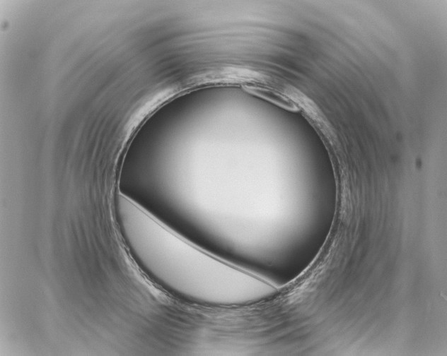 X0000086930850200704161058