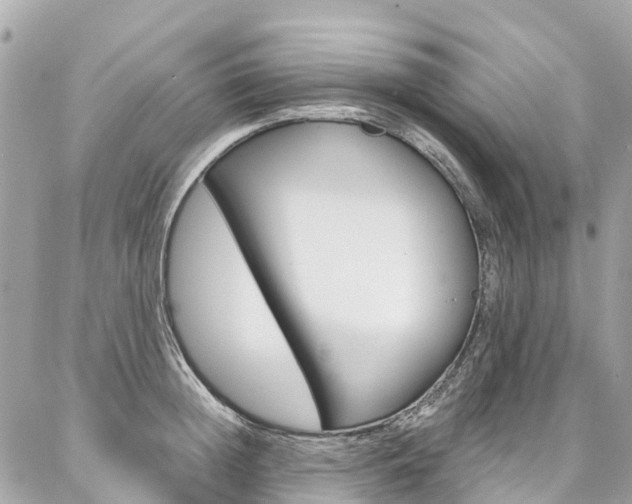X0000086930852200704161058