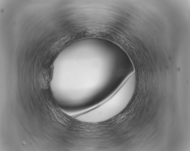 X0000086930868200704161057