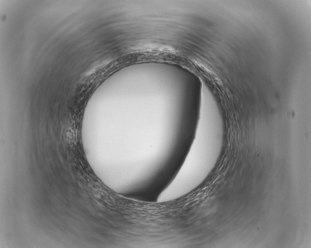 X0000086930869200704161057