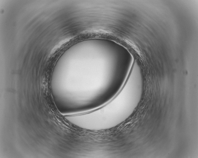 X0000086930872200704161057
