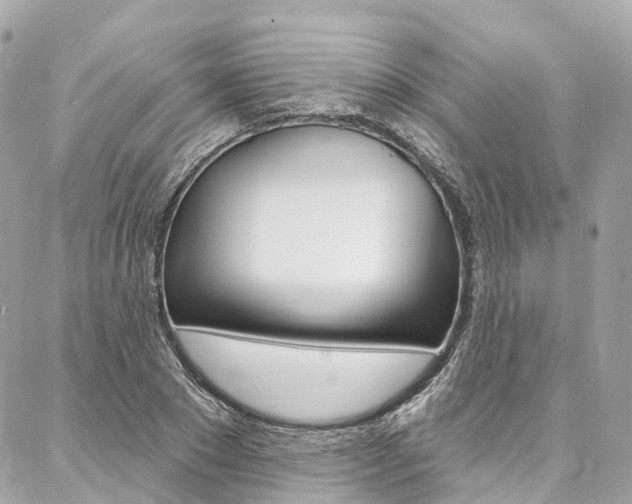 X0000086930881200704161057