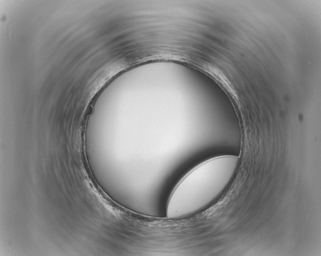 X0000086930898200704161056