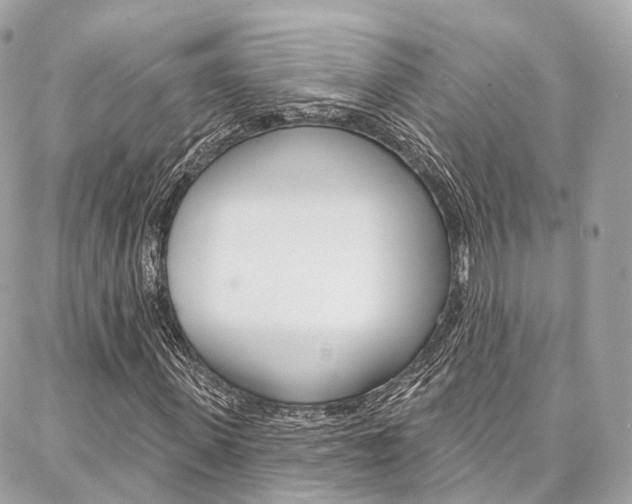 X0000086930915200704161055