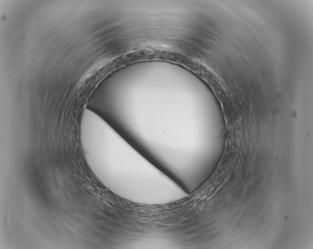X0000086930919200704161055