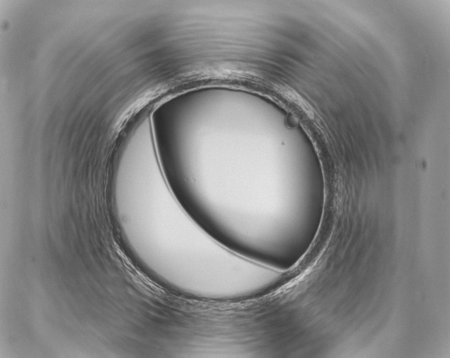 X0000086930922200704161056