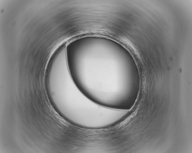 X0000086930924200704161056