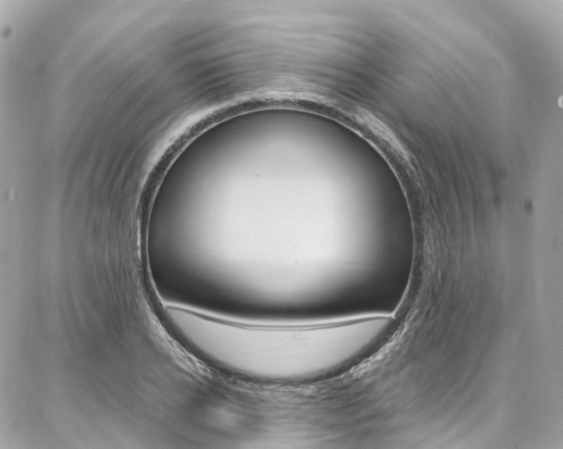 X0000086930934200704161056
