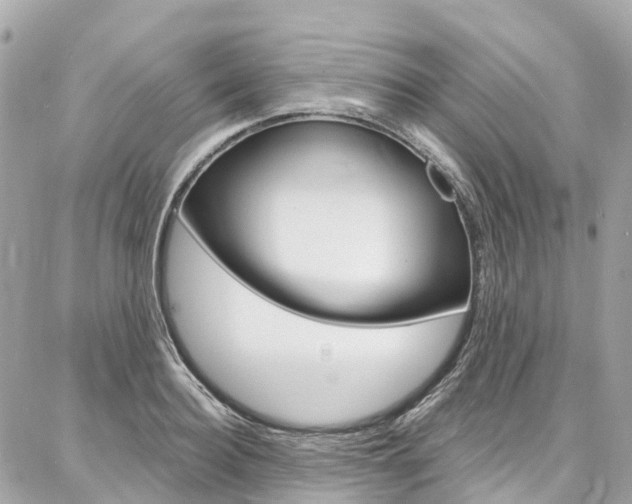 X0000086930940200704161056