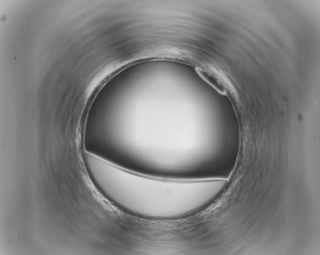 X0000086930944200704161056