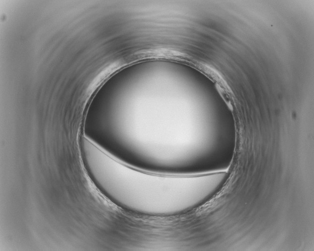 X0000086930946200704161056