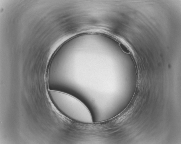X0000086930951200704161056