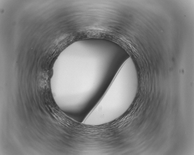 X0000086930964200704161055