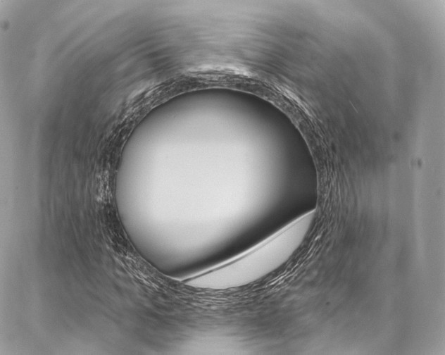 X0000086930965200704161055