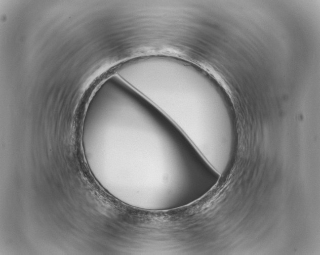 X0000086930975200704161055
