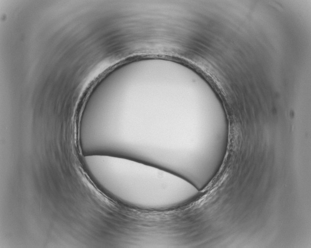 X0000086930982200704161055