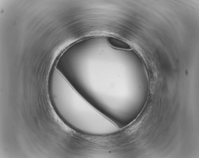 X0000086930995200704161055