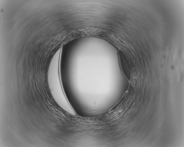X0000086931010200704161054