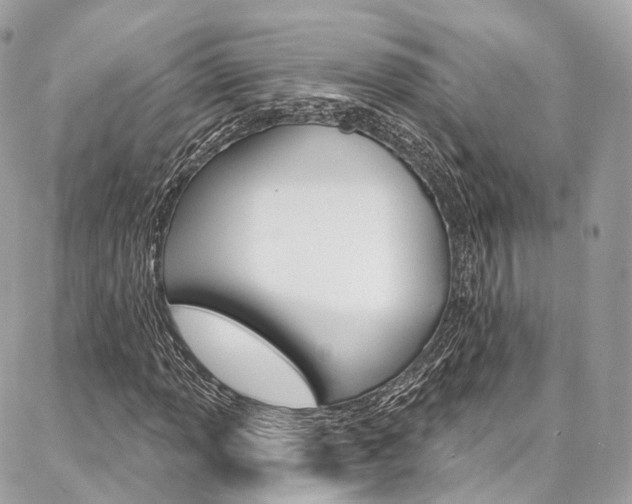 X0000086931013200704161054