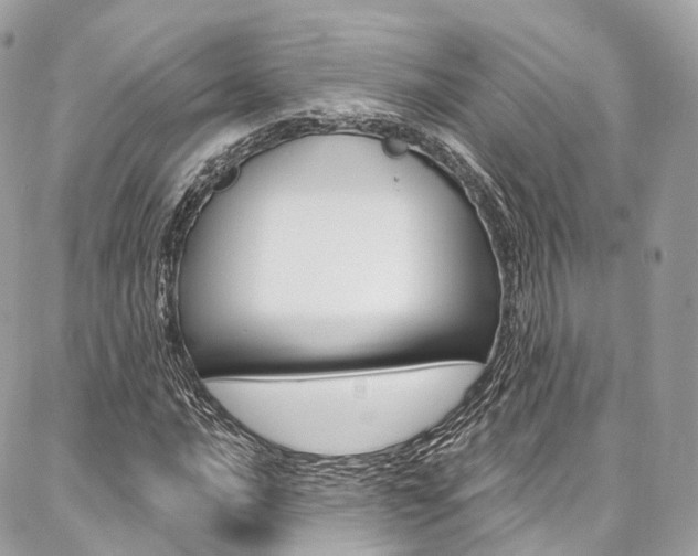 X0000086931016200704161054