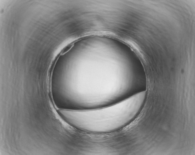 X0000086931046200704161054