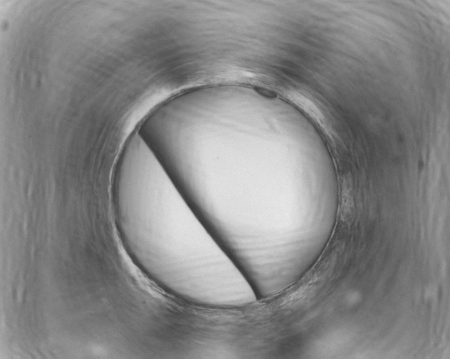 X0000086931047200704161054