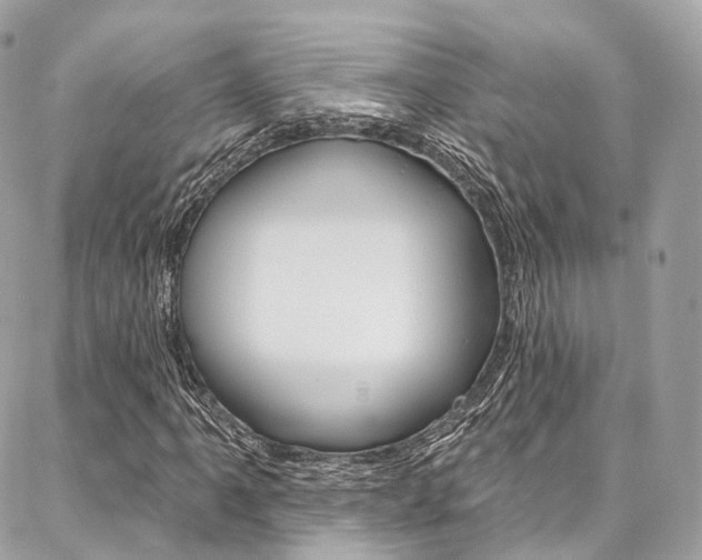 X0000086931061200704161054