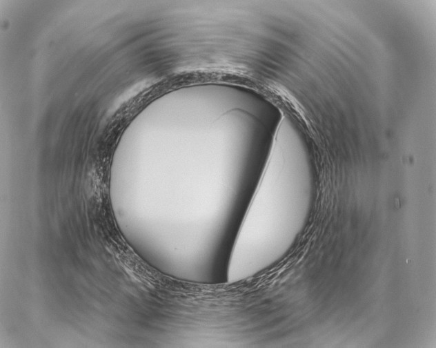 X0000086931064200704161054