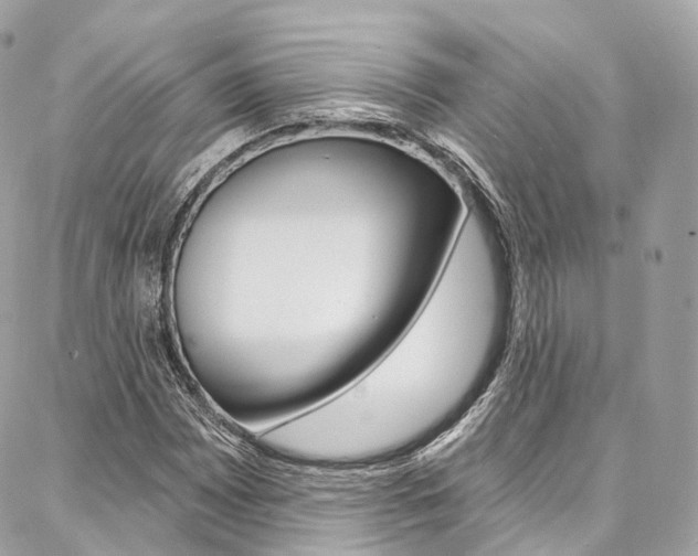 X0000086931065200704161054