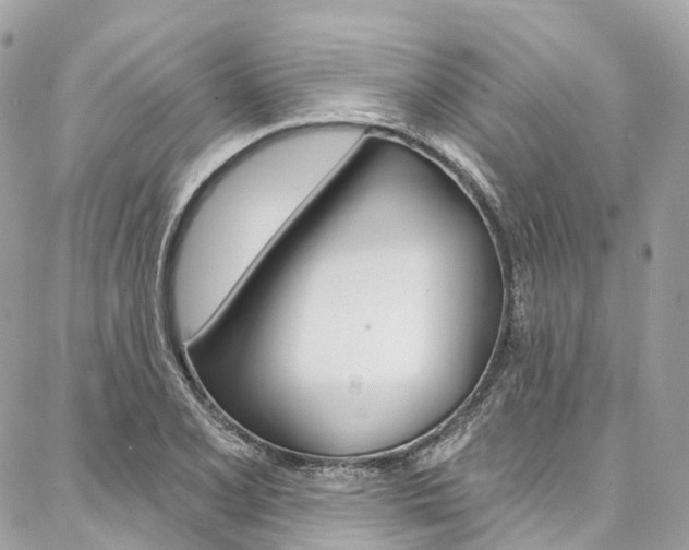 X0000086931077200704161053