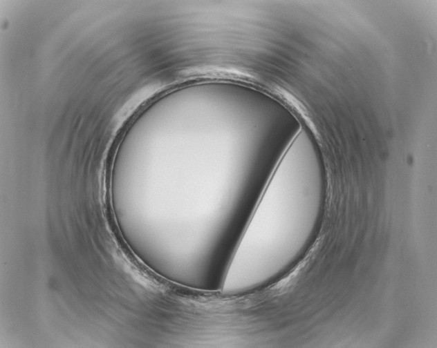 X0000086931082200704161053
