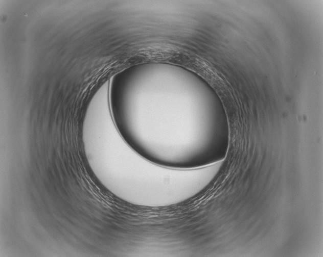X0000086931108200704161052