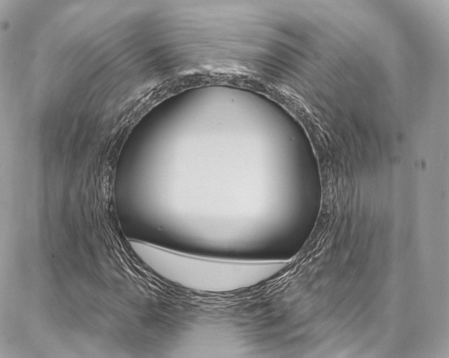 X0000086931110200704161052