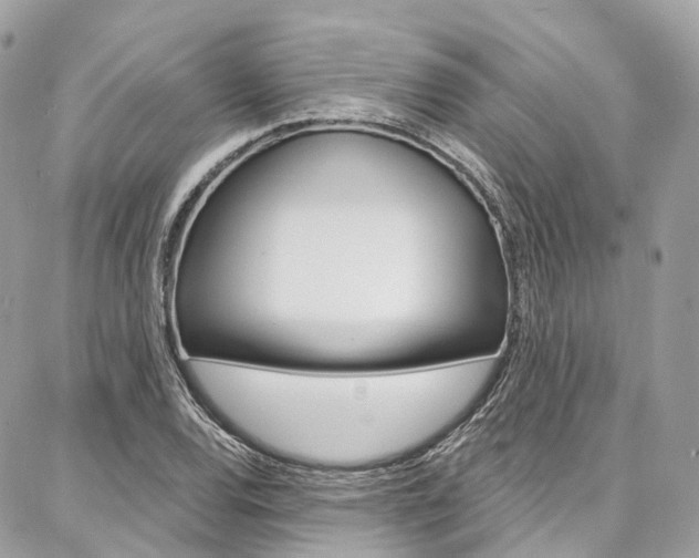 X0000086931120200704161052