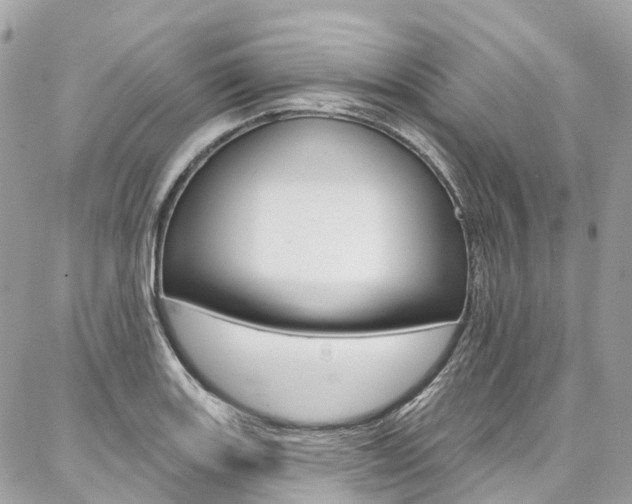 X0000086931131200704161053