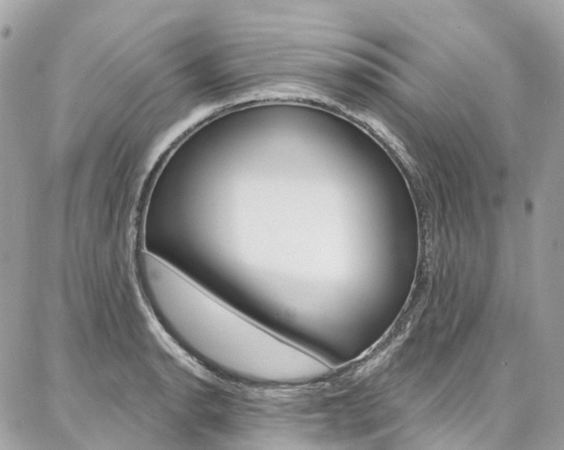 X0000086931134200704161053