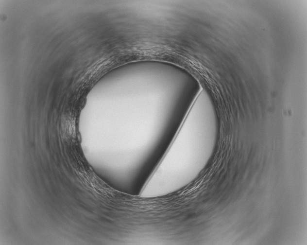X0000086931155200704161052