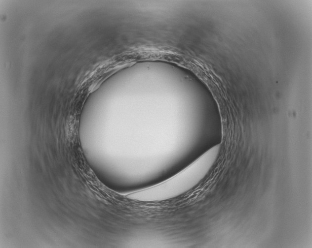 X0000086931157200704161052