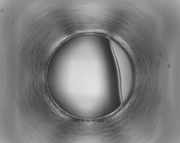 X0000086931177200704161052