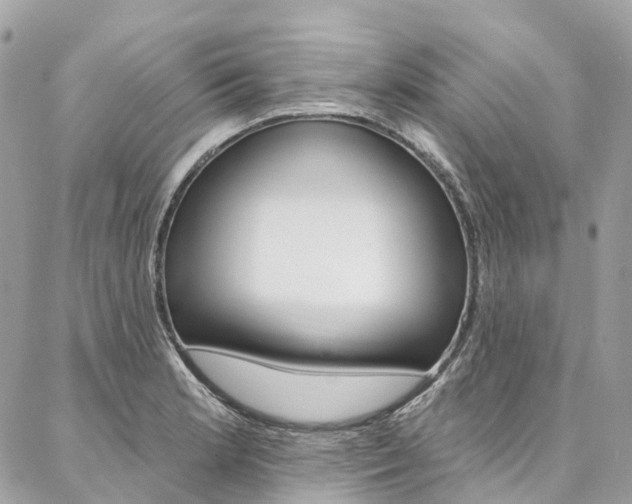 X0000086931181200704161052
