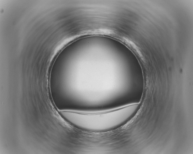 X0000086931184200704161052