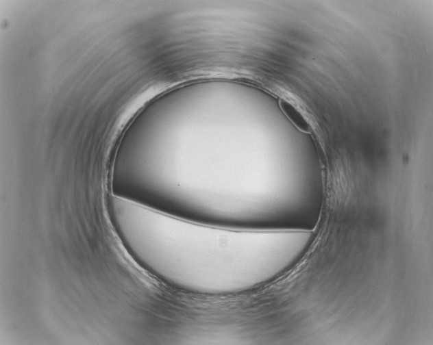 X0000086931187200704161052