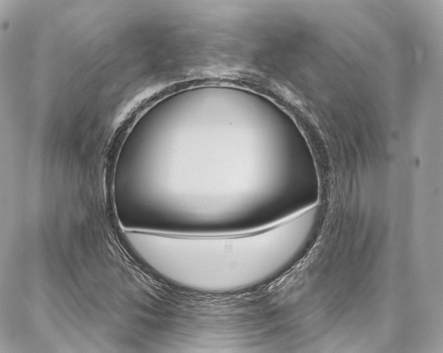 X0000086931214200704161051