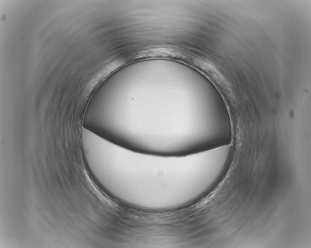 X0000086931233200704161051