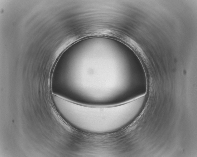X0000086931234200704161051