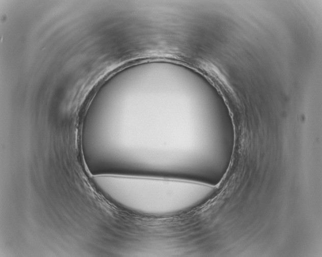 X0000086931268200704161050