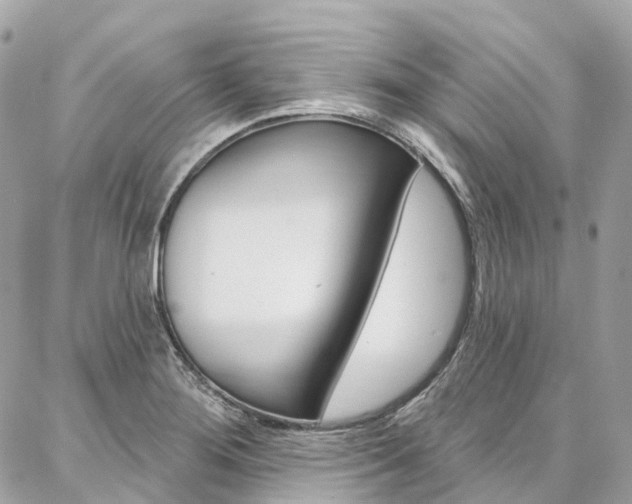X0000086931276200704161050