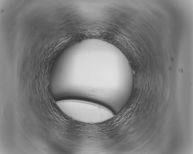 X0000086931297200704161049