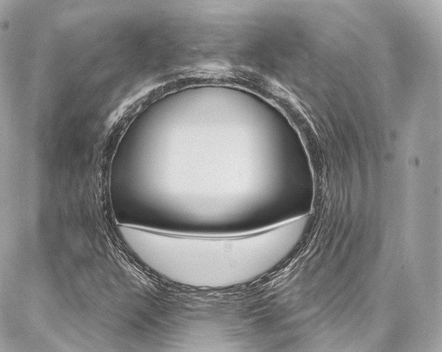 X0000086931304200704161049