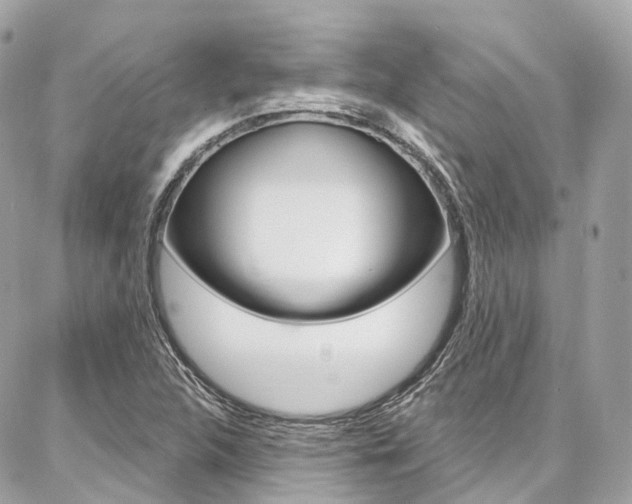 X0000086931312200704161049